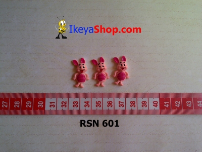 rsn 601  large2